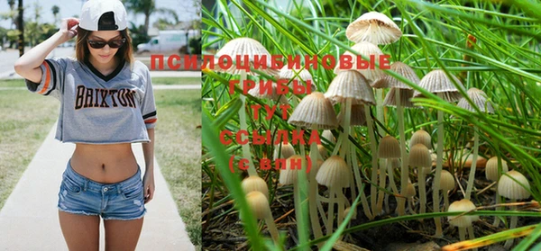 не бодяженный Кинешма