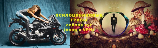 спайс Козельск