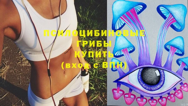 спиды Кодинск